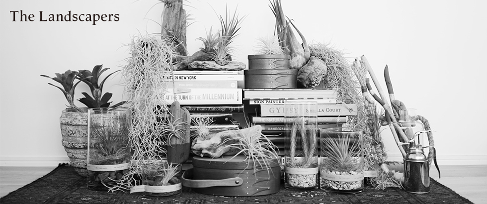 The Landscapers（ザ ランドスケーパーズ）